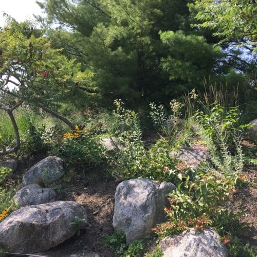 Blooming yellow, pink, and white flowers under sumac and conifers on a rocky hillside between two wooden fence posts.
