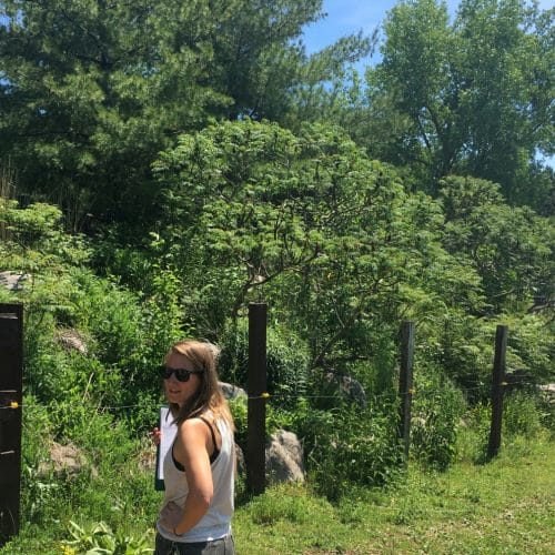 A landscaper looking at the camera standing in front of a hill overgrown with trees and bordered with a wooden fence.