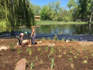 Two landscapers installing large boulders from a red cart to a newly planted shoreline along a lake.