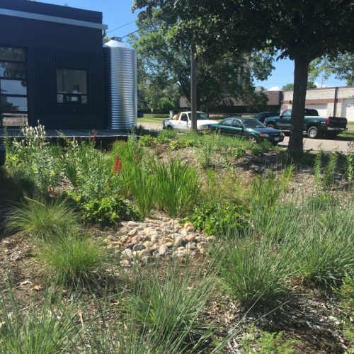 A black building in an industrial architectural style with a rain garden full of plants in the foreground.