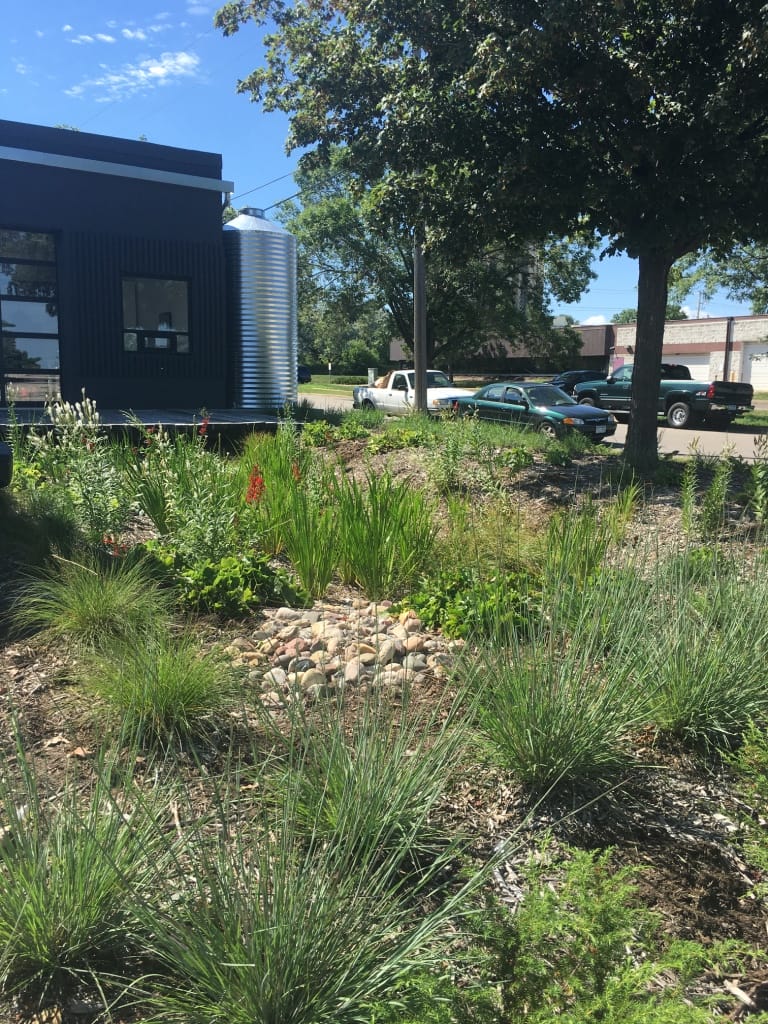 A black building in an industrial architectural style with a rain garden full of plants in the foreground.
