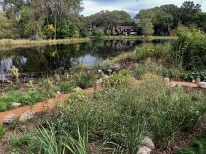 Lush, textured native plants and grasses along a rocky mulch path next to a lake shoreline. Trees and a home are on the other shore in the background.