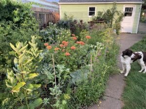 annual floweredibleTownes