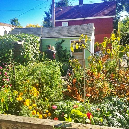 Landscaping Portfolio - Light Dark Landscape 21 A man and a child next to a shed in a back yard with filled with numerous pink, yellow, and orange flowers and vegetables on a very sunny summer day.