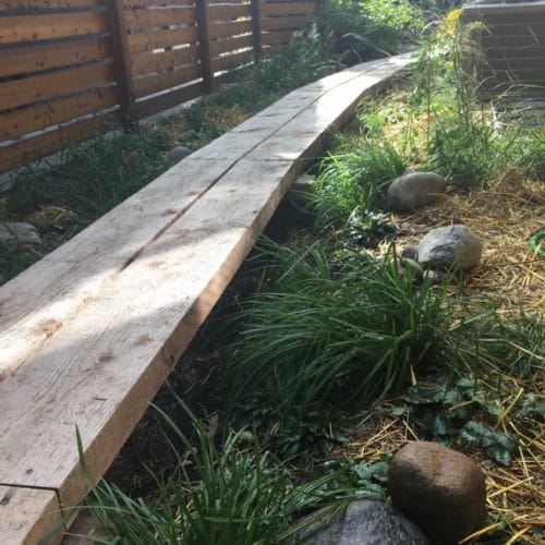A natural wood boardwalk suspended above a rain garden with rocky boulders, against a wooden fence.