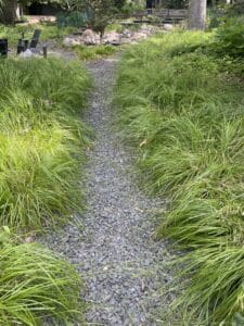 carexsprengeliianddresser trap path