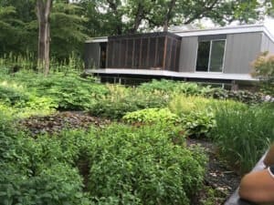 An overgrown lawn of lush plants in front of a grey and white mid-century home with a suspended screened in patio.