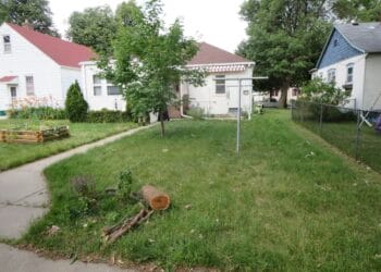 A backyard with short green grass, a tree, and concrete path leading to a white house.