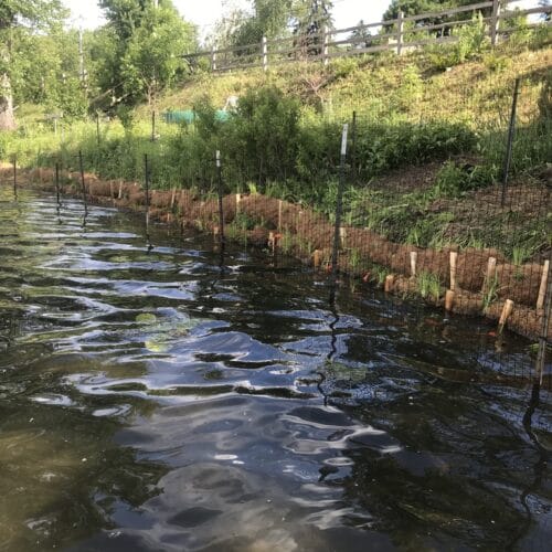 Landscaping Portfolio - Light Dark Landscape 16 Stabilization efforts with coir logs, wooden stakes, and a fence to prevent erosion along a steeply sloped lakefront.