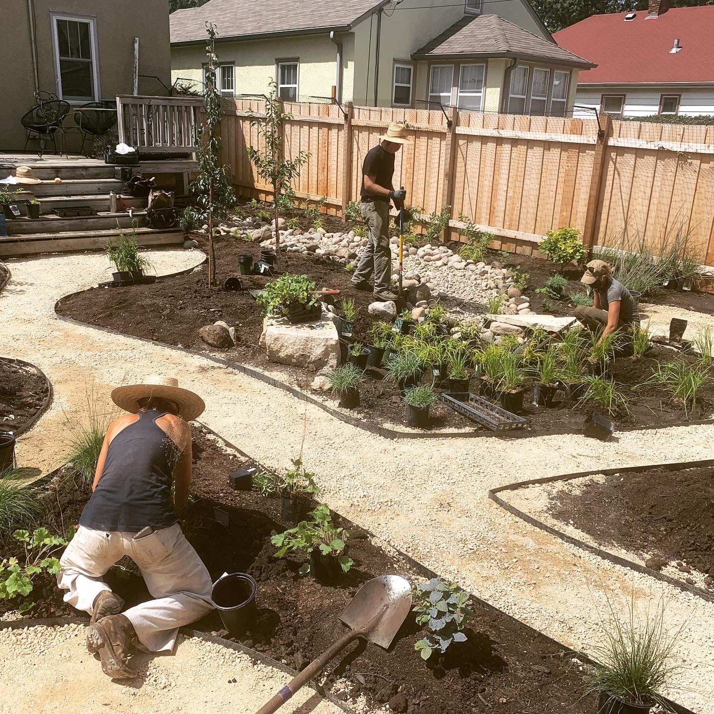 Three landscaping crew members planting new plants along curved paths in the new backyard oasis.