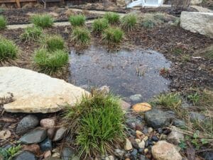 Full raingarden basin