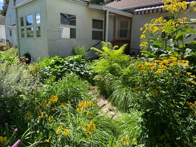 A permaculture yard filled with tall grasses, blooming yellow flowers, and shrubs in front of a white house.
