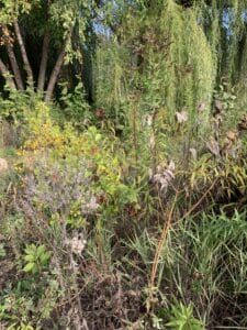 Fall textures