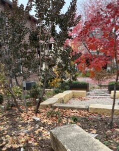 The full garden including the sunken limestone patio, raised mild steel vegetable beds, rectilinear paver paths and mature shrubs showing their vibrant fall colors on an autumn day in the Milwaukee Avenue neighborhood.