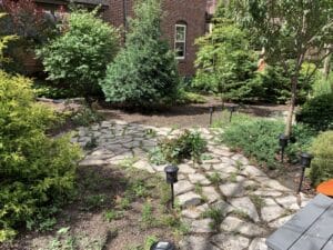 A wide buff-colored flagstone path leads from house and winds though the shrub garden, in places the path widens into a small patio.