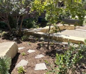 A limestone stepper path winds through a mulch bed planted with shade tolerant native species and a mature smokebush and Japanese Maple.