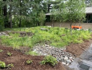 A 2'x10' trench filled with a mix of river stones connecting to a small grate which captures water run-off from the driveway, provides a naturalistic inlet to the rain garden.
