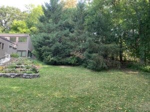 MENDOTA HEIGHTS MID CENTRY WOODLAND EDGE Before Lackluster Lawn 1