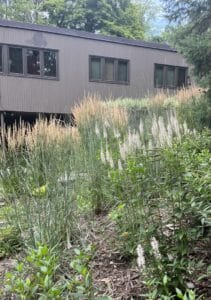 MENDOTA HEIGHTS MID CENTRY WOODLAND EDGE HIGHLIGHT 1 After Hillside Planting 1