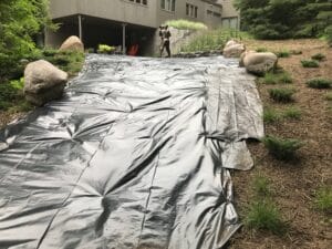 MENDOTA HEIGHTS MID CENTRY WOODLAND EDGE Install Lawn Solarization 1