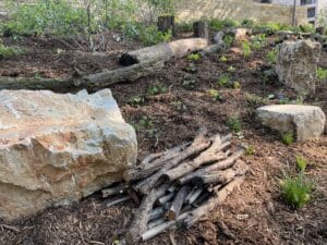 A newly planted woodland understory nestled within scattered limestone boulders, "fallen" logs, and other pollinator friendly habitat elements.