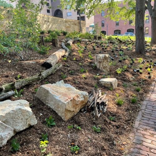 Landscaping Portfolio - Light Dark Landscape 9 A long narrow strip of commercial land running alongside a brick public sidewalk has been planted with native shrubs and herbaceous woodland species nestled among bee-friendly habitat feature such as boulders and "fallen" logs.