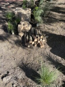 Two limestone boulders, a pile of cut logs and a collection of native grasses are grouped together in the pollinator garden creating a complex "island" of urban habitat.