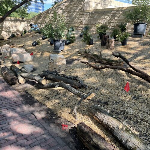 Limestone boulders, "fallen" logs, squat stumps and woody shrubs await final placement in the habitat garden.