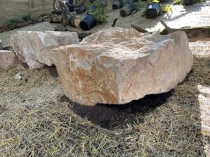 A large limestone boulder with a lifted edge, exposing the soil bellow, may provide dwelling habitat for crevice and soil nesting bee species.