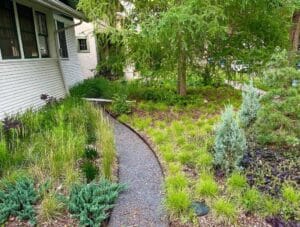 A narrow, curvilinear gravel path winds through a mix of native and non-native greenery in a small urban front yard in St. Paul Minnesota.