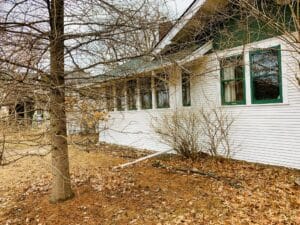 A quaint, cabin-like white house with green trim sits on a small lot with a bare lawn, foundation shrubs and a single Tamarack tree.