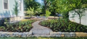 A newly constructed cobblestone path that meanders through a narrow orchard, still in the process of being planted, connects to a rough-cut stone step in the center of a one foot tall dry-stacked retaining wall.