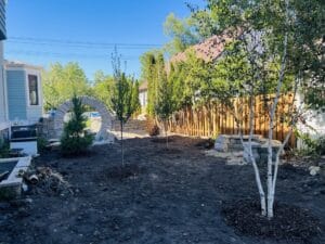 Kenwood Gallery Install Newly Planted Woodland Trees