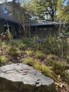 IMG 7159