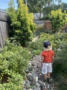 kid year 4 dry creek