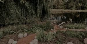 Image of completed landscaping project: Minnehaha Creek Shoreline Restoration
