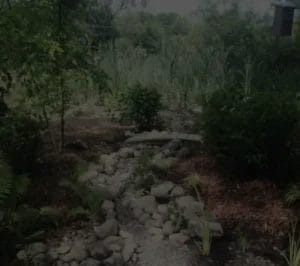 Reclaimed wetland landscape design