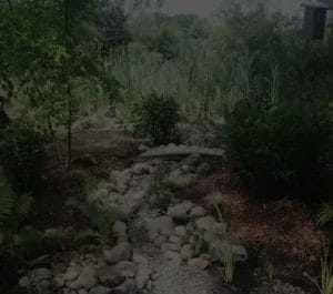 Reclaimed wetland landscape design