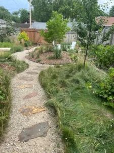 No-mow lawn landscape design