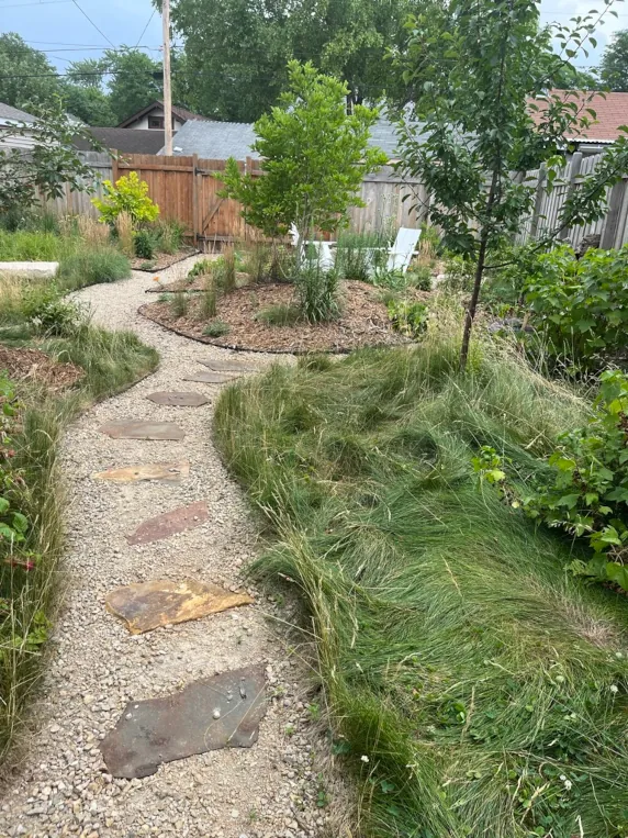 No-mow lawn landscape design