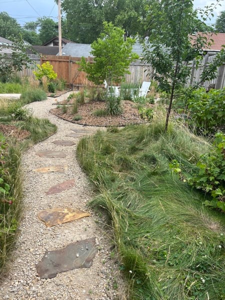 No-mow lawn landscape design